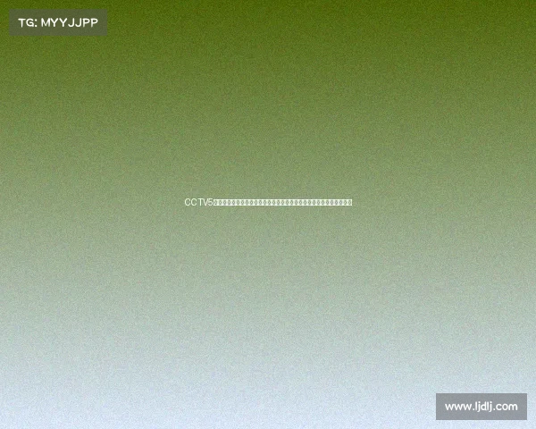 CCTV5全程直播卡塔尔世界杯精彩赛事每晚黄金档现场直播燃爆夏日足球激情